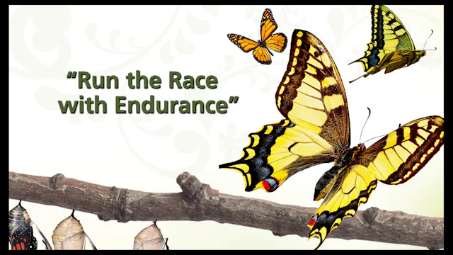 Session 6 — Run the Race with Endurance