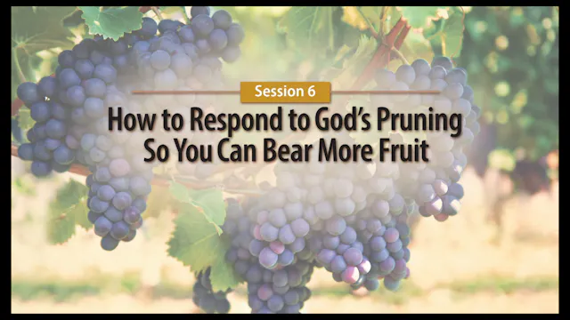 Session 6 — How to Respond to God's Pruning So You Can Bear More Fruit