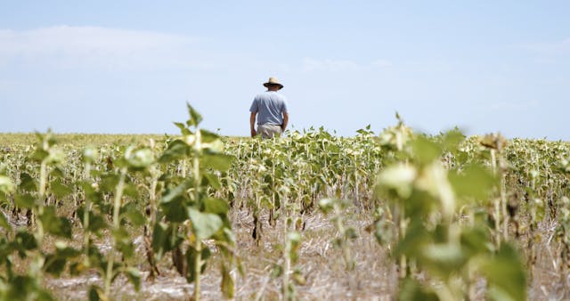 Beyond the Soil