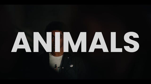 Animals