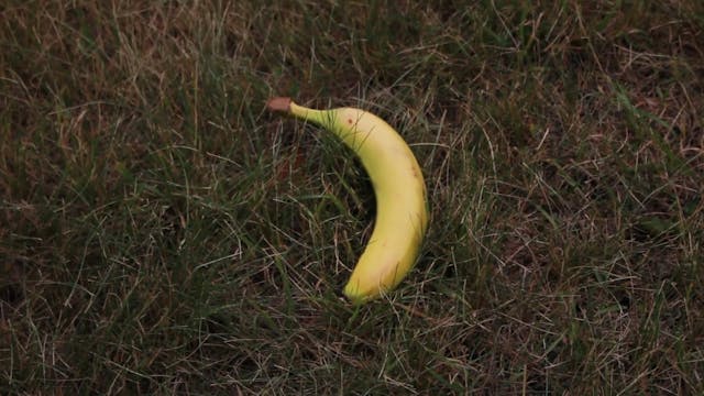 Banana