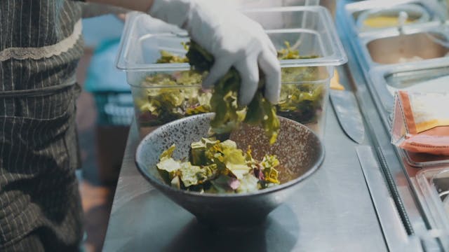 Making Salad