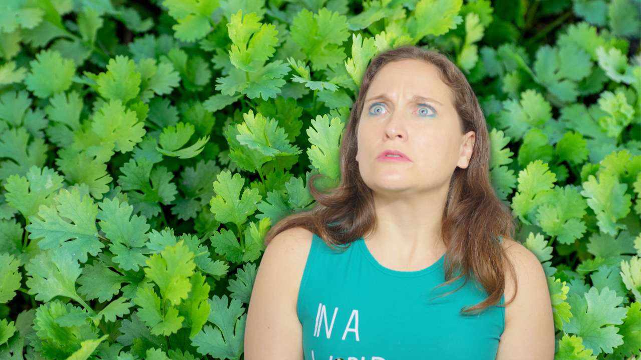 Feb. 24th: I Hate Coriander Day