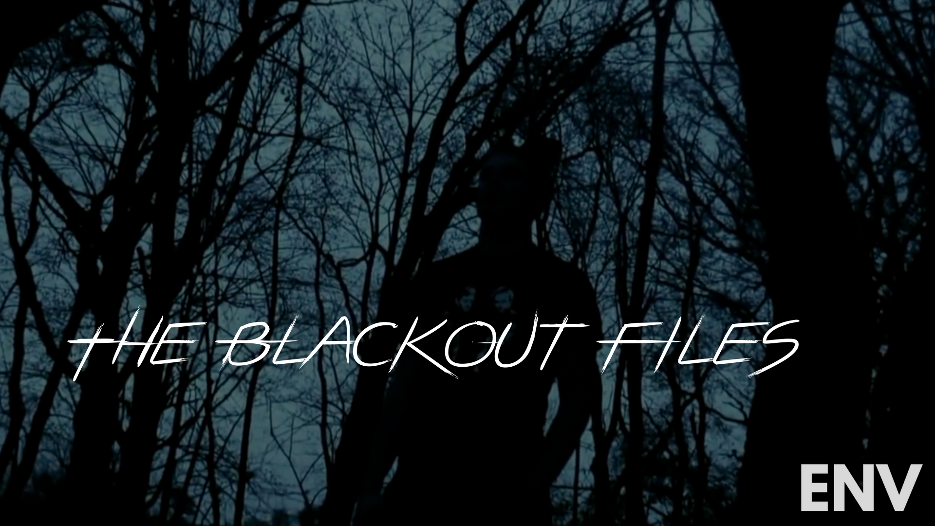 The Blackout Files
