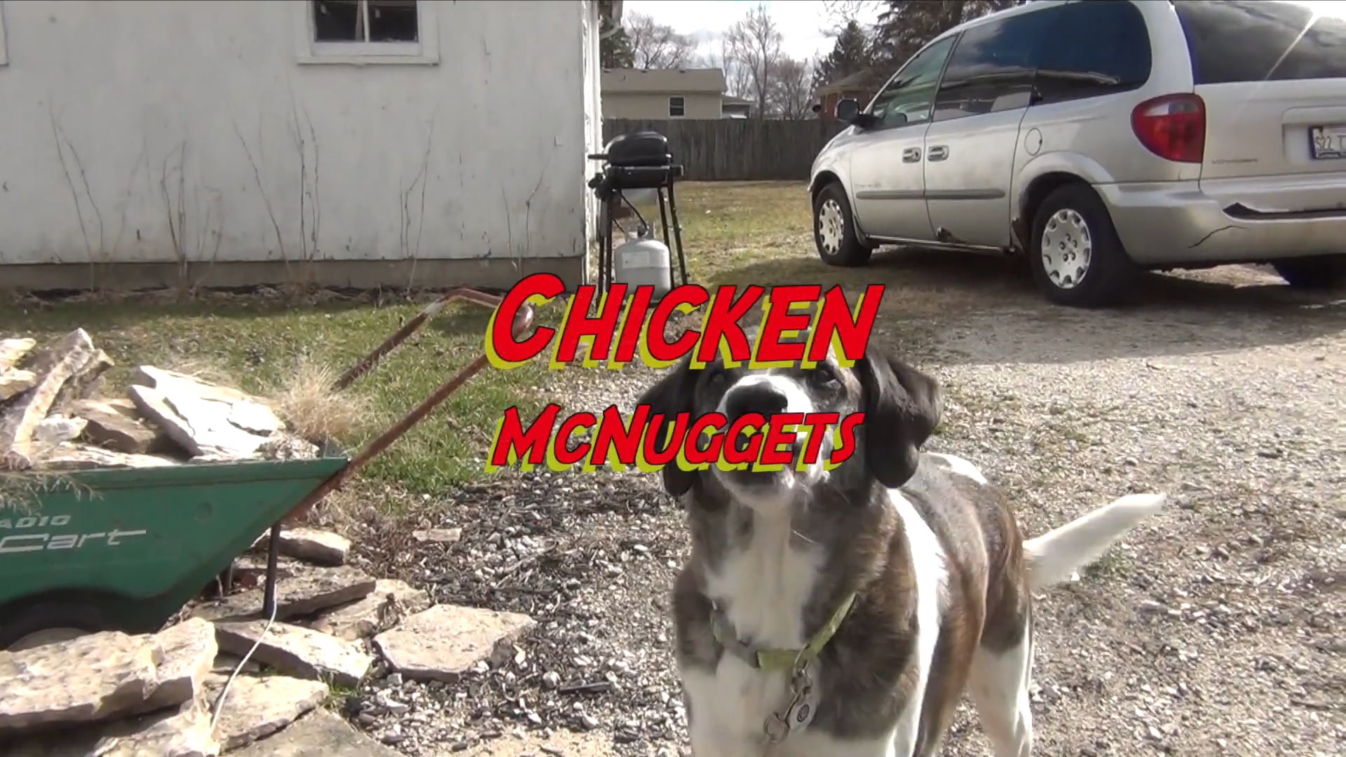 McDonald's Chicken Nuggets