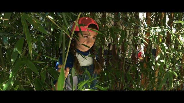 The Child In The Bamboo