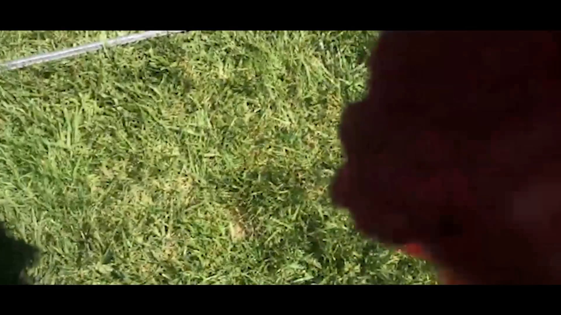 Chapter 7: The Band Wagon