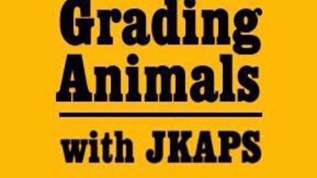 Grading Animals