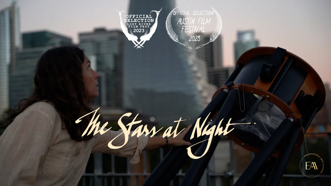The Stars at Night