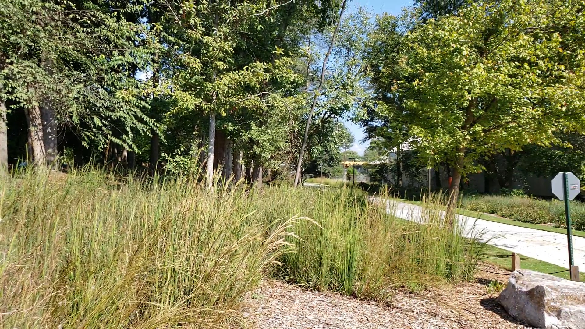 Eastside Trail @ Kirkwood Avenue