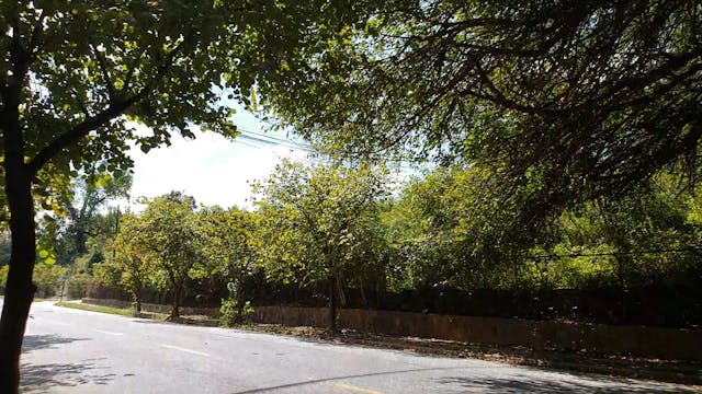 Southside Trail @ Hill Street
