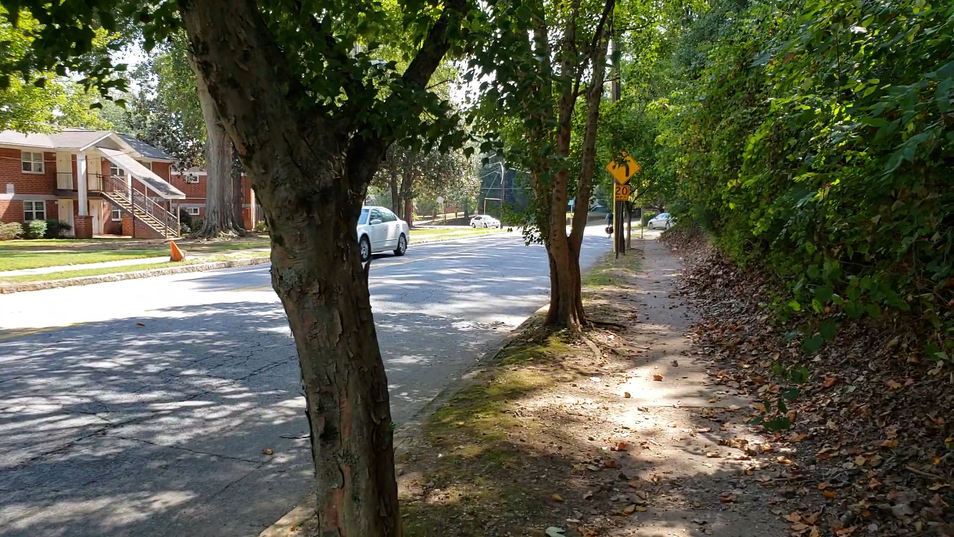 Southside Trail @ Confederate (United) Avenue