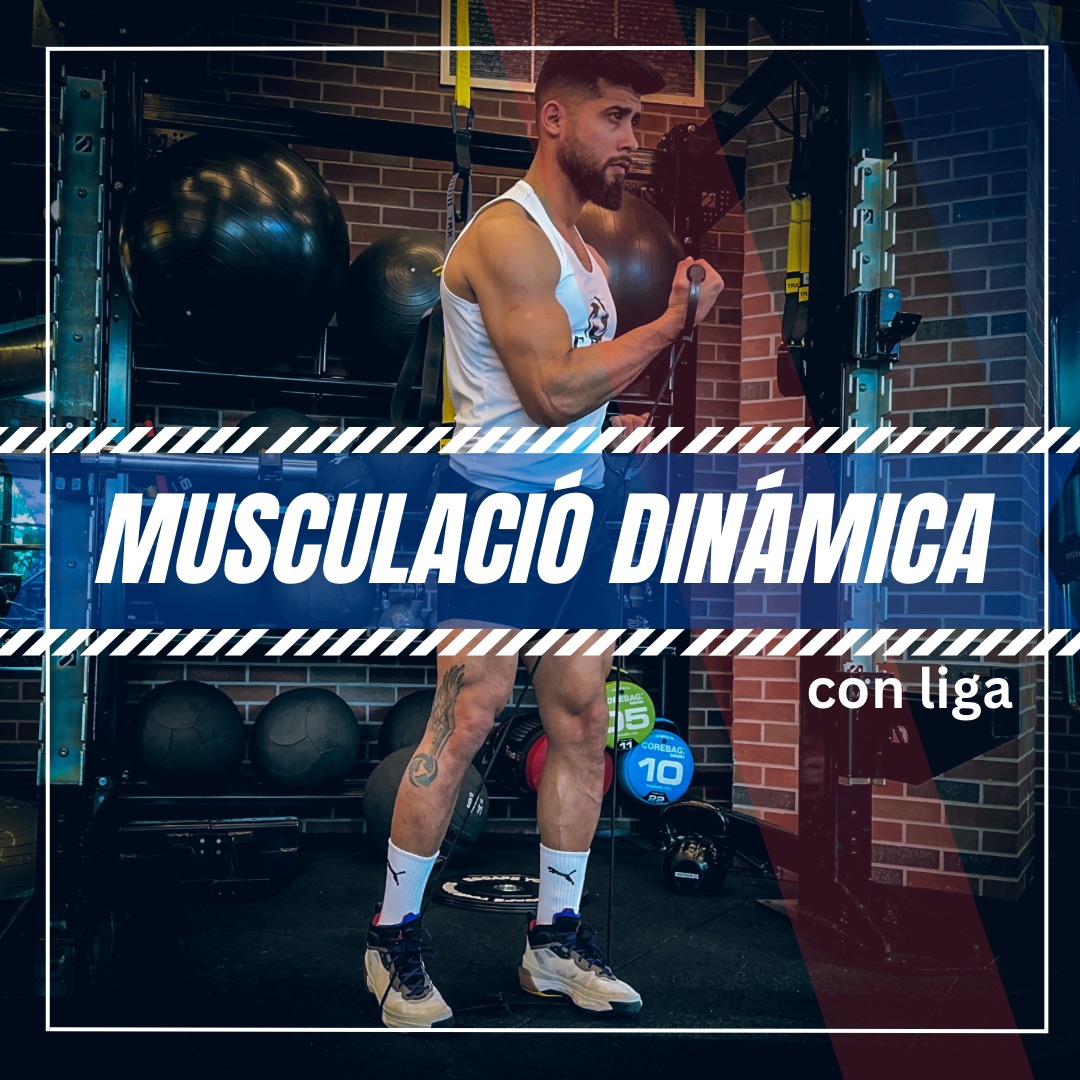 MUSCULACIÓN DINÁMICA CON LIGAS