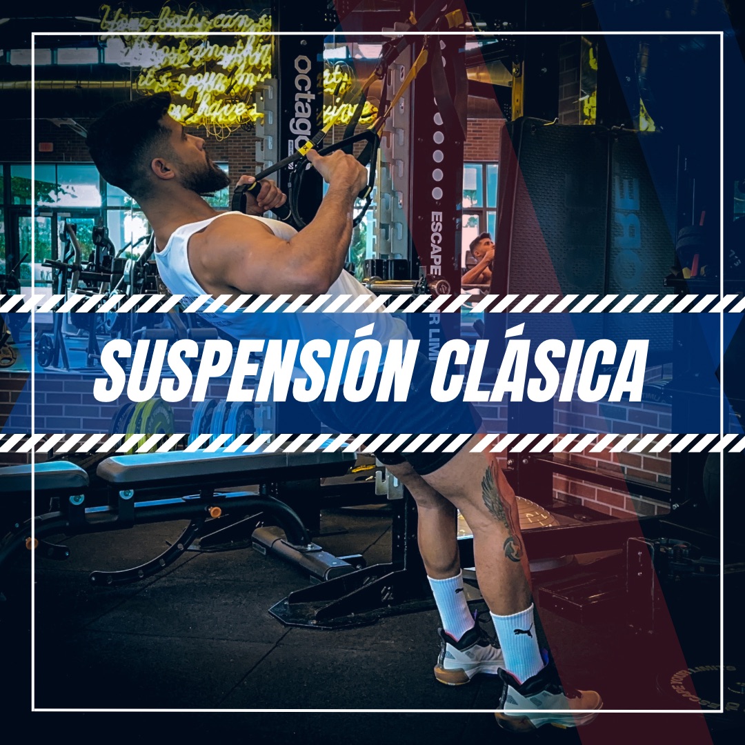 SUSPENSION CLASICA