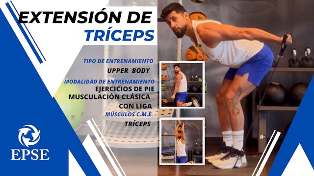 EXTENSIÓN DE TRÍCEPS 