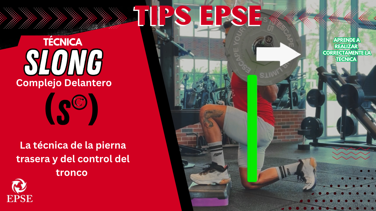 SLONG COMPLEJO DELANTERO