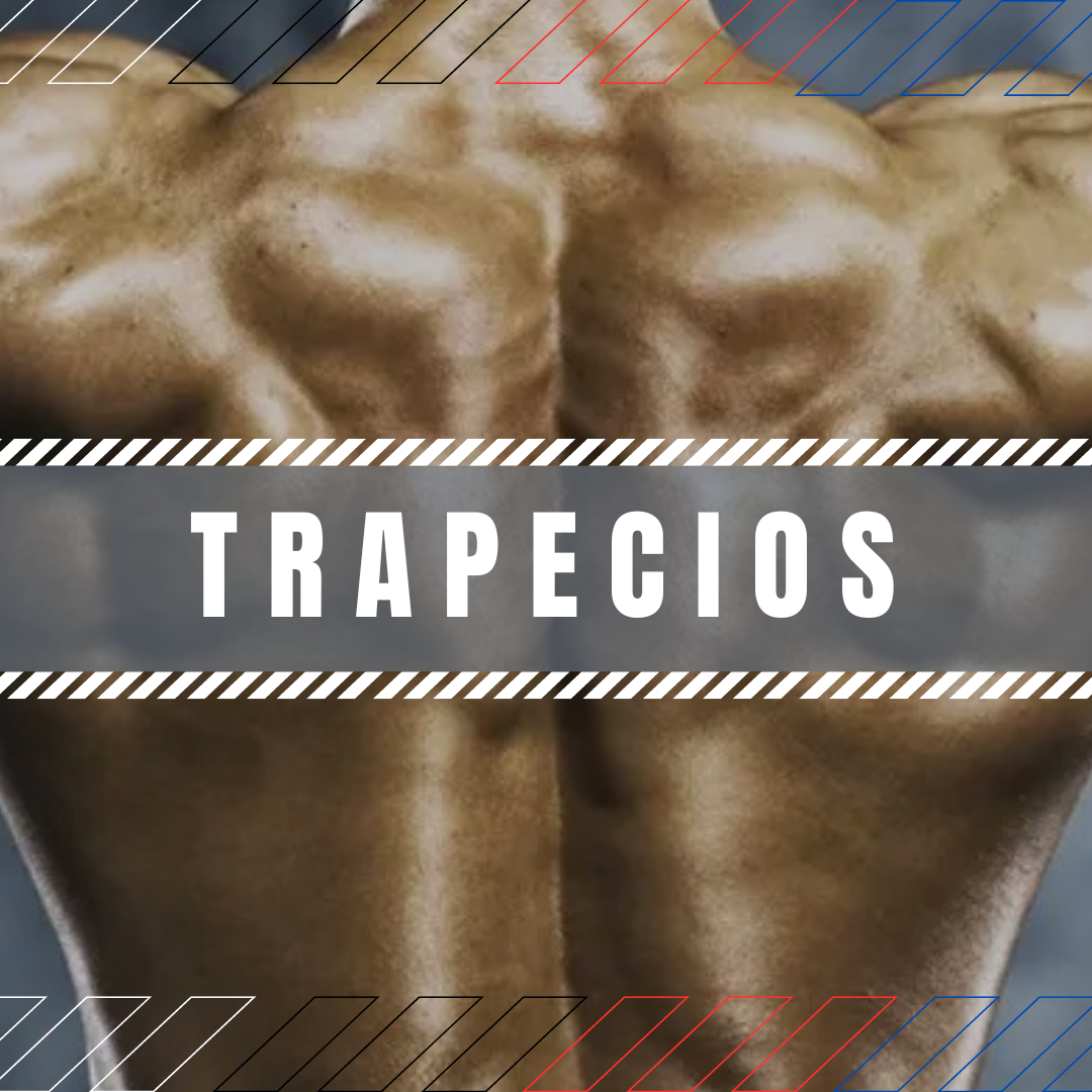 TRAPECIOS