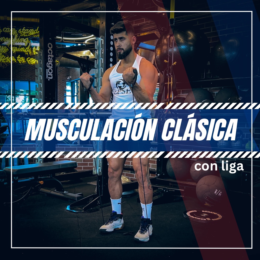 MUSCULACIÓN CLÁSICA CON LIGAS