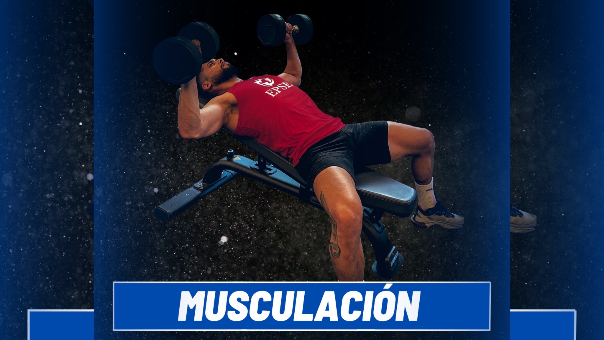 MUSCULACIÓN