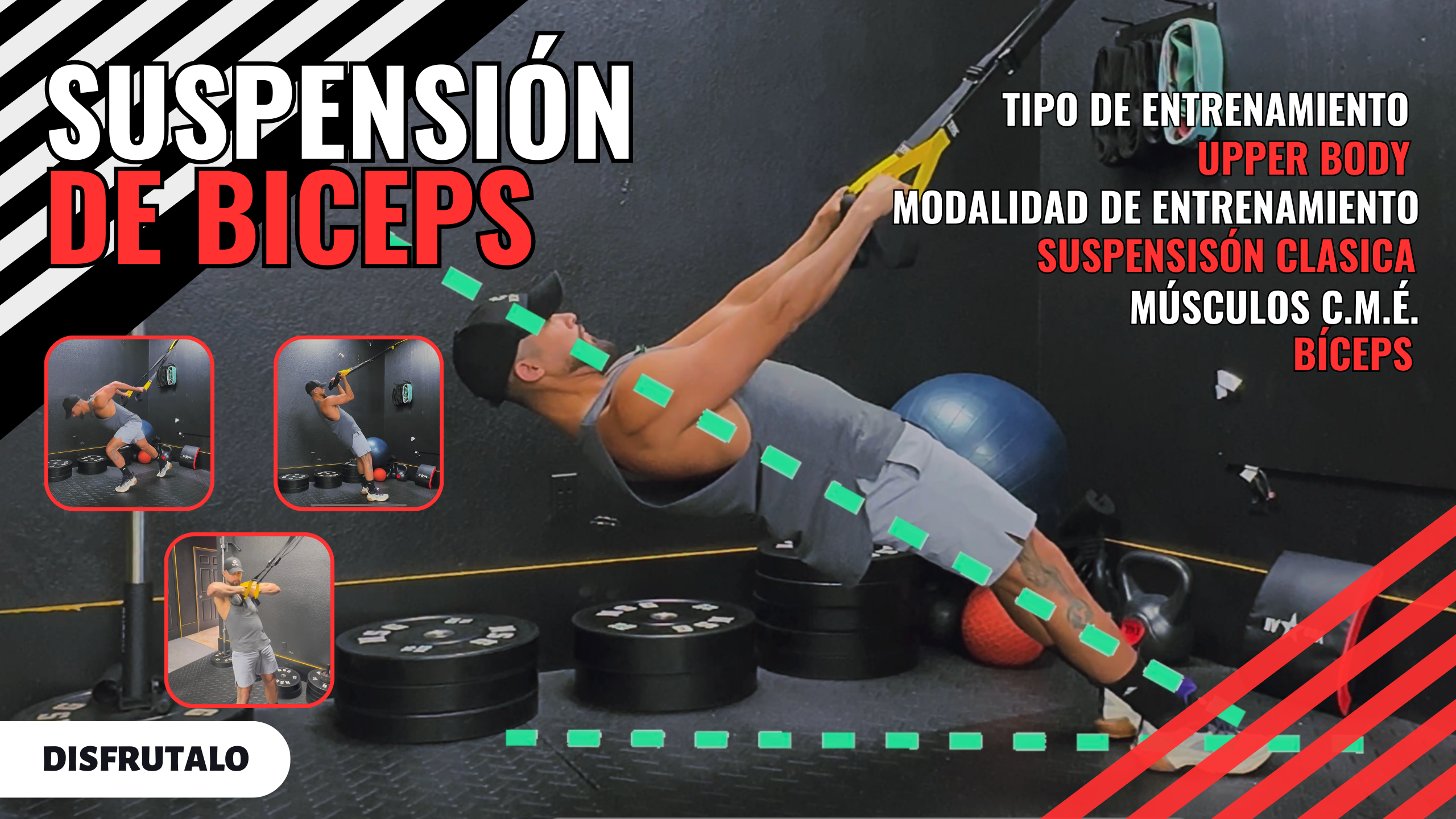 SUSPENSIÓN DE BÍCEPS 