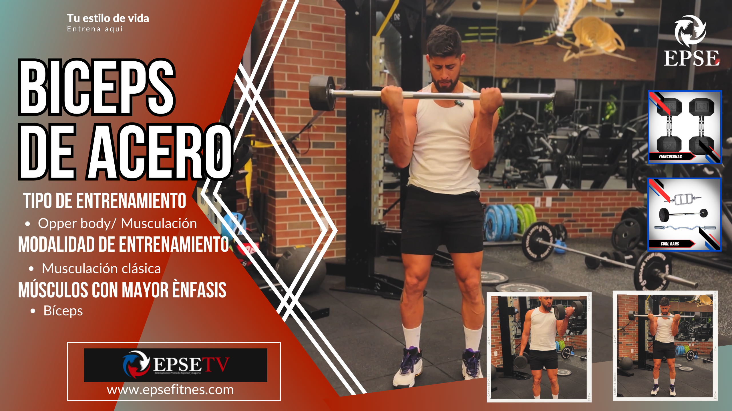 BÍCEPS DE ACERO