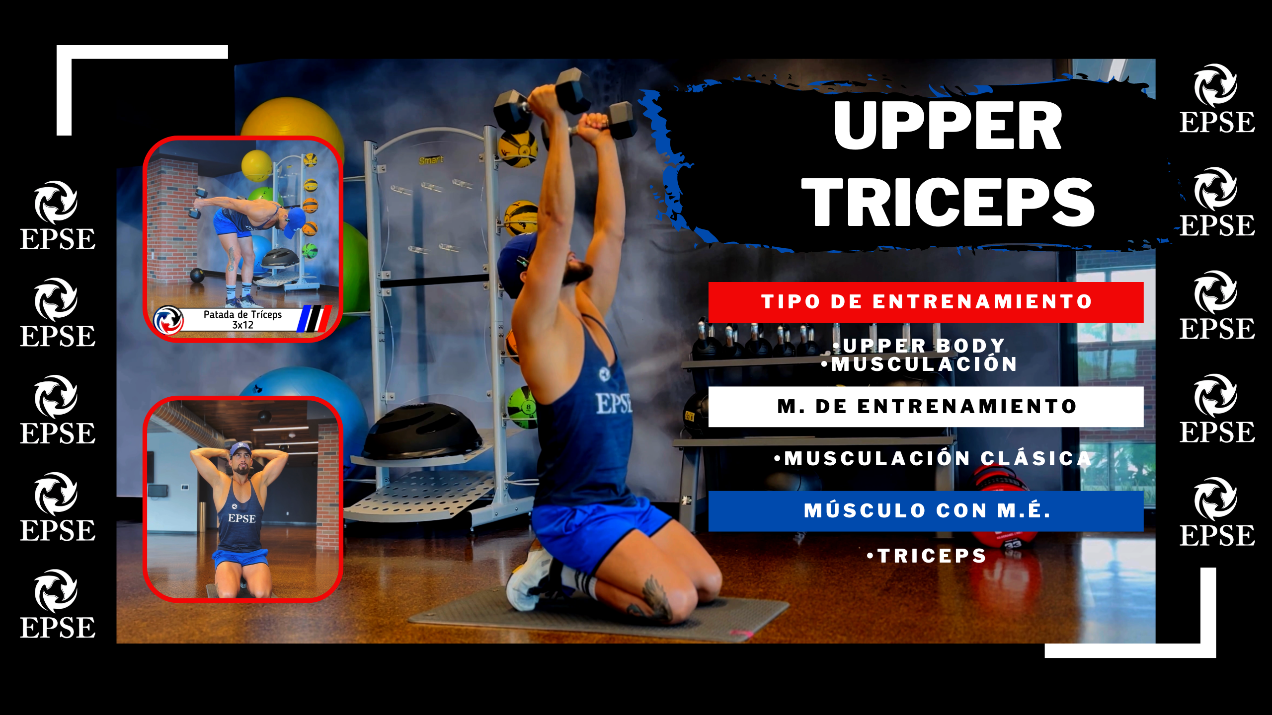 UPPER TRICEPS