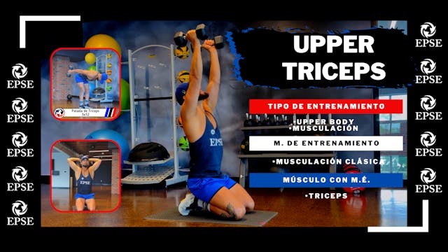 UPPER TRICEPS