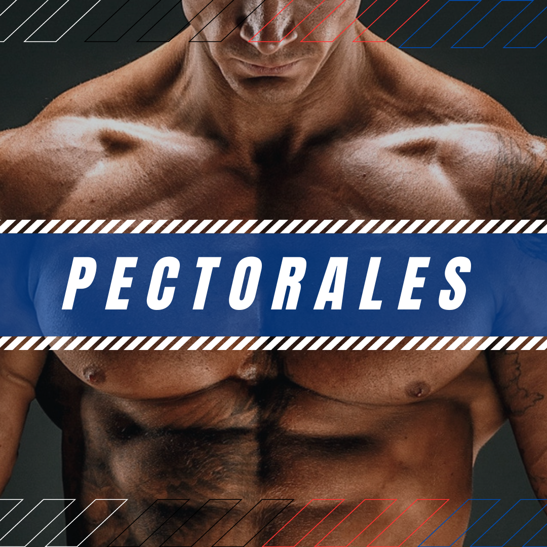 PECTORALES