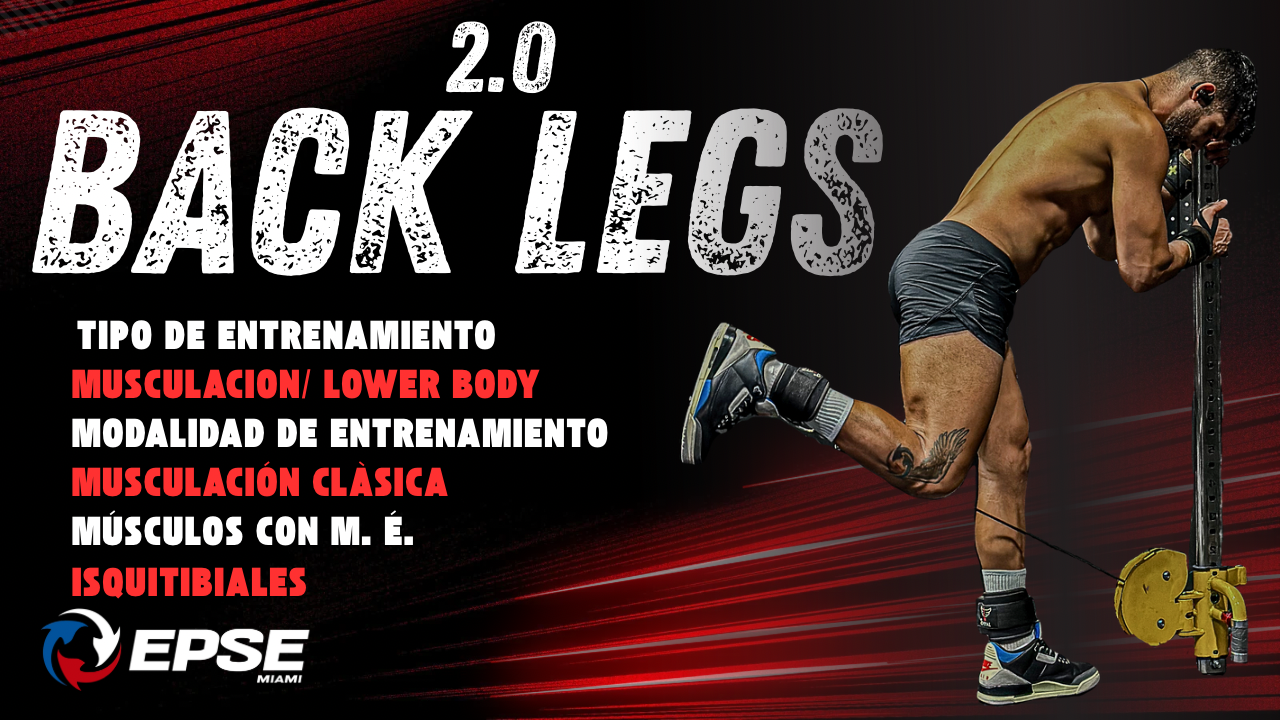 BACK LEGS 2.0