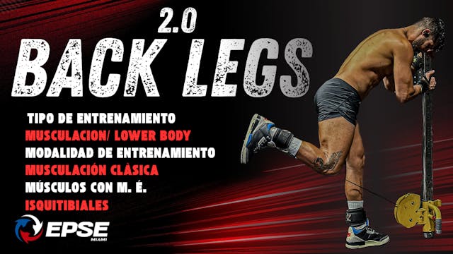 BACK LEGS 2.0