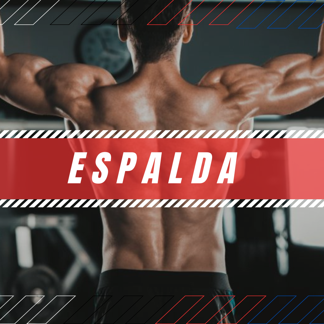 ESPALDA