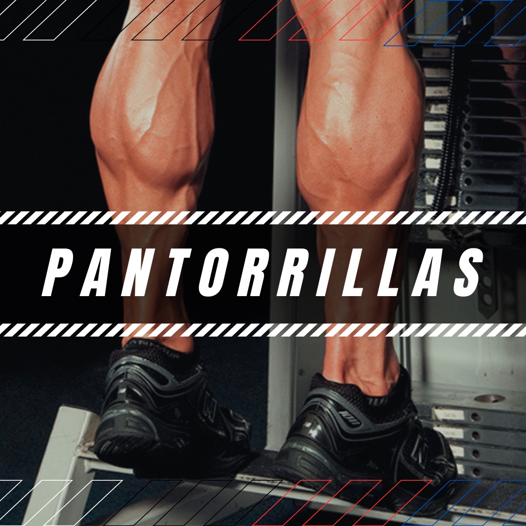 PANTORRILLAS