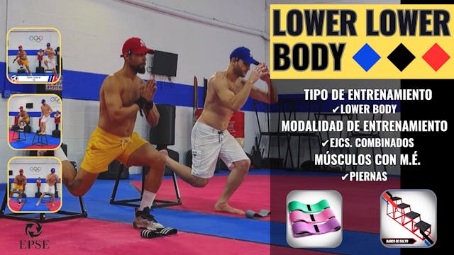 LOWER LOWER BODY