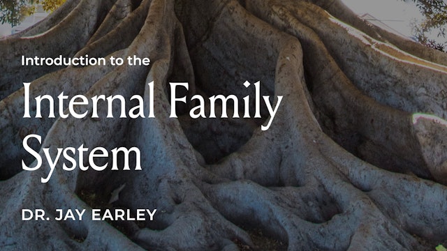 Introduction to Internal Family System
