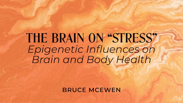 The Brain on Stress: Epigenetic Influences on Brain and Body