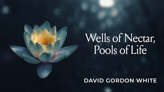 Wells of Nectar, Pools of Life