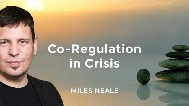 Co-Regulation in Crisis