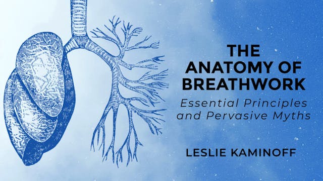 The Anatomy of Breathwork