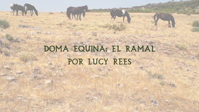 Doma Equina | El Ramal