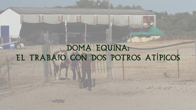 Doma Equina | Dos casos atípicos