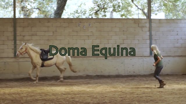 Doma Equina por Lucy Rees