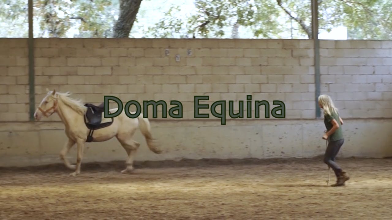 Doma Equina por Lucy Rees