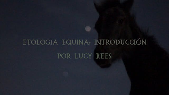 Etología Equina | Introducción