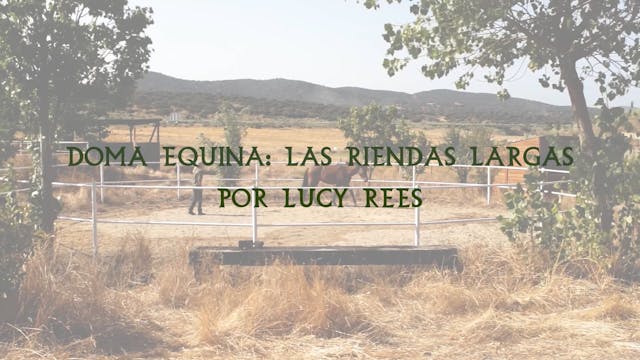 Doma Equina | Las Riendas Largas