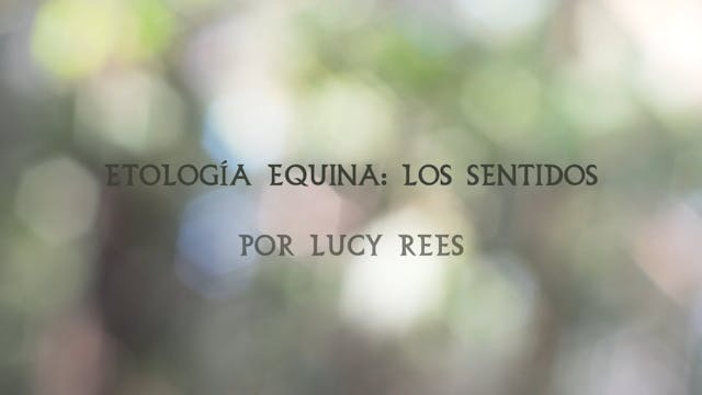Etología Equina | Los Sentidos