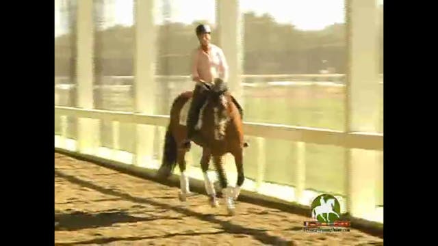 Focus on Equitation: Achieving Proper...