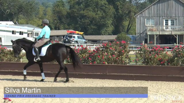 Dressage Lessons with Silva Martin, S...