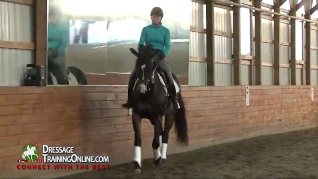 Dr. Dieter Schule - Developing Horse,...