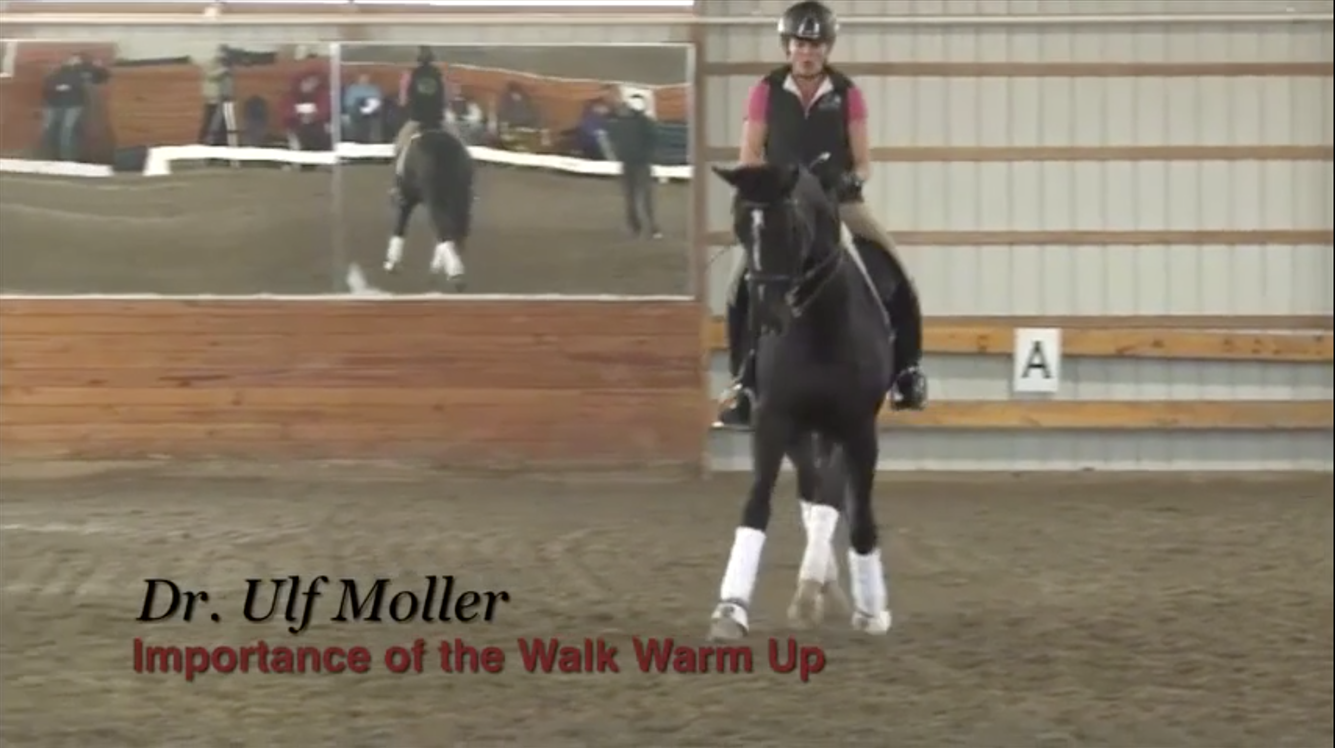 Importance of the Walk Warm Up |  Dr. Ulf Moller