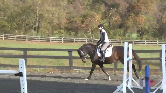 Jumping Fundamentals | William Fox-Pi...